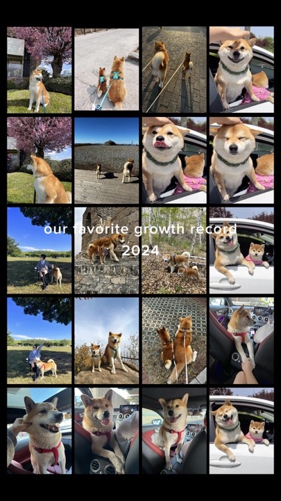 うちの子成長記録🐶