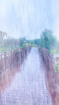 Rain