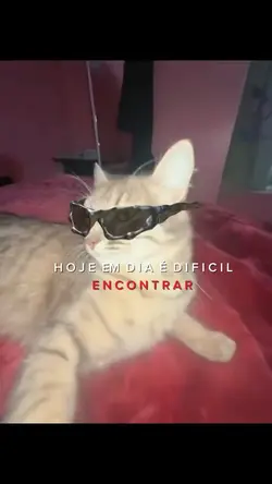 E difícil encontrar😈