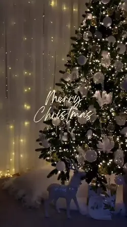 Merry Christmas|