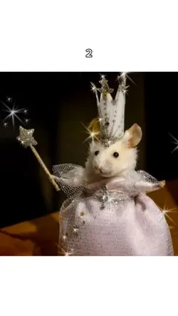 Rat friends