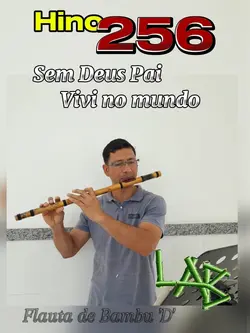 Hino 256 Flauta 