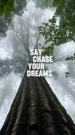 Chase your dreams 
