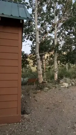 Rando videos😭