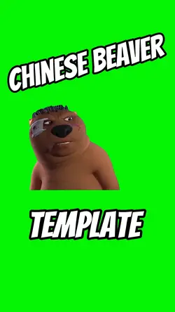 Chinese Beaver Meme