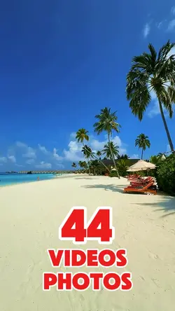 44 videos or photos 