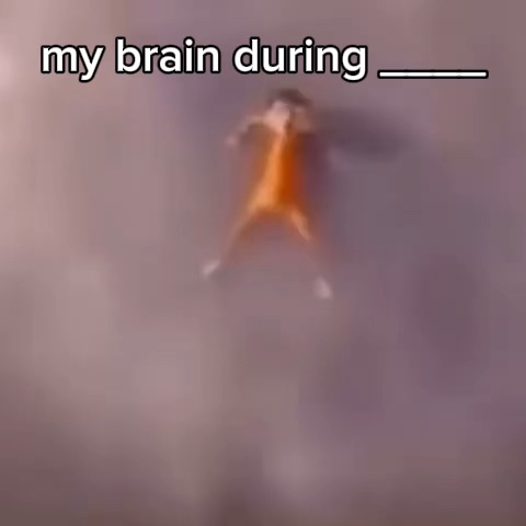 minions meme