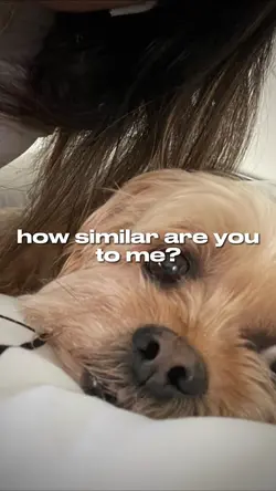 how similar are we?