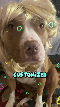 Customized baby🐶