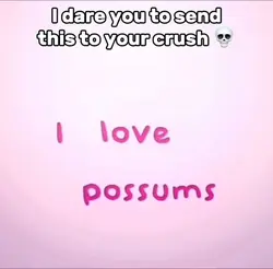 I Love Possums
