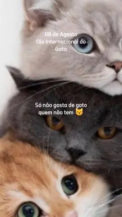 Dia do Miau