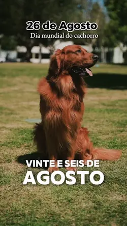 DIA DO CACHORRO