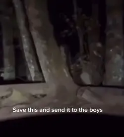 Meme for the boys