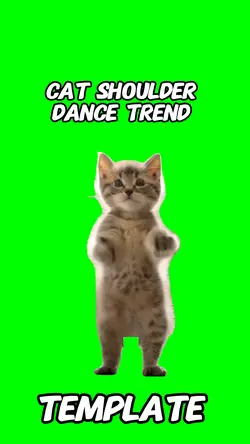 Shoulder dance cat