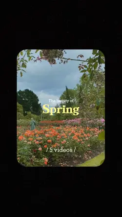 the beauty of spring