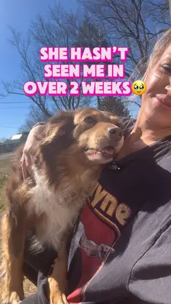 Must love dogs