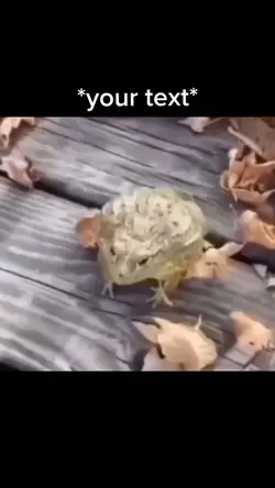 Frog jumpin