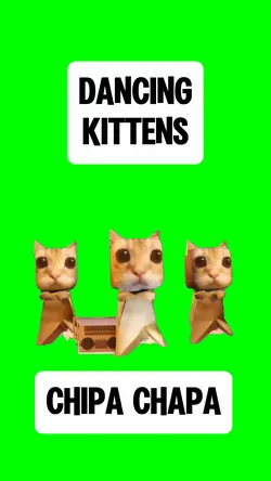DANCING KITTENS