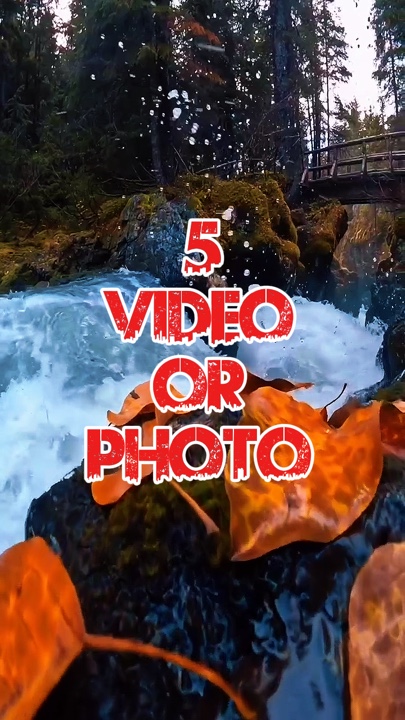 5 video or picture 