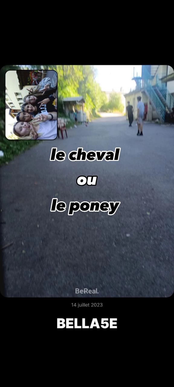poney ou cheval