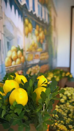 Chá vila italiana 🇮🇹