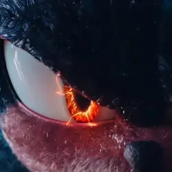 Shadow The Hedgehog 
