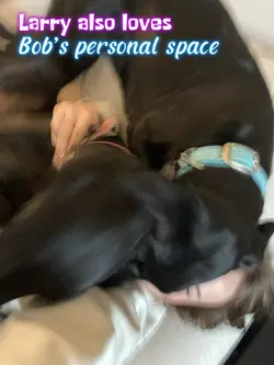 Personal Space