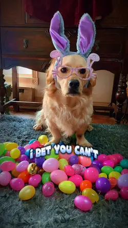 Guess how many eggs💙