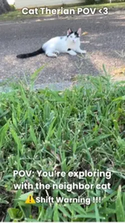 Cat Therian POV