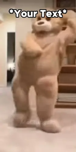 Bear Dancing Meme