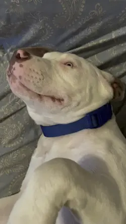 Ignoring Mom