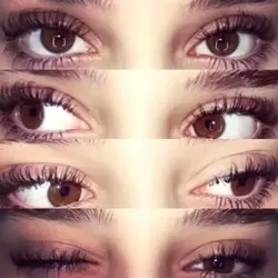 Eye trend?