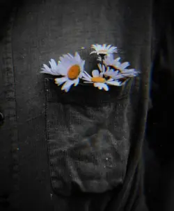 Pashto 🥺🥀 poetry 