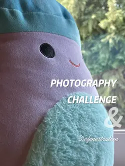 The Photographerβ¦.