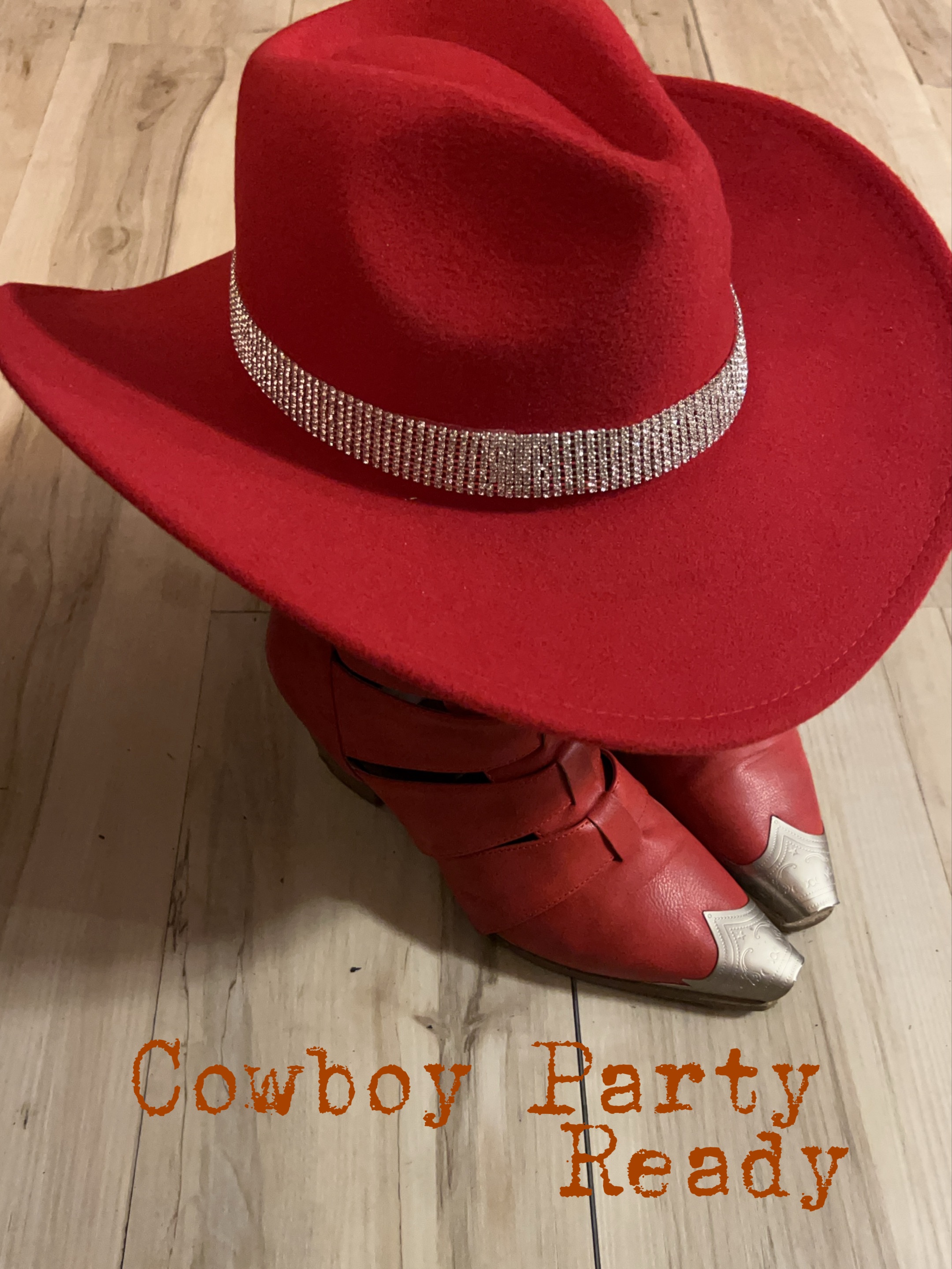 Cowboy Party ready