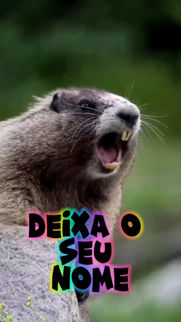 DEIXA SEU NOME 