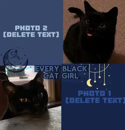 Black and orange cat