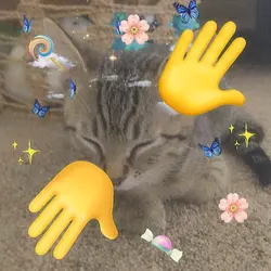 Nya ichi ni sa nya
