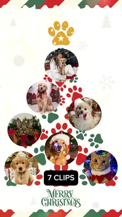 pet christmas tree