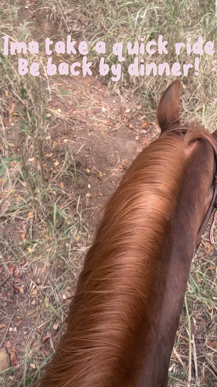 I’m not coming home