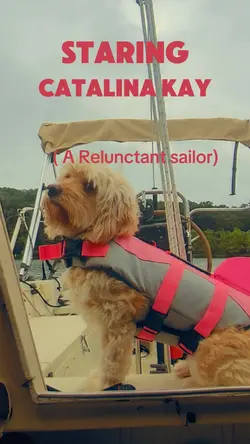 Wes Anderson Style