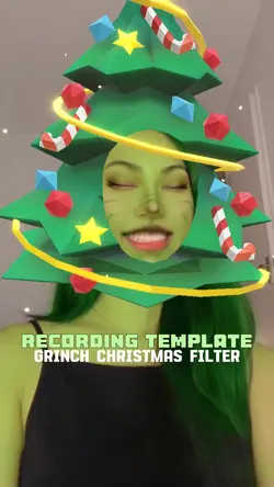 Grinch Xmas Filter