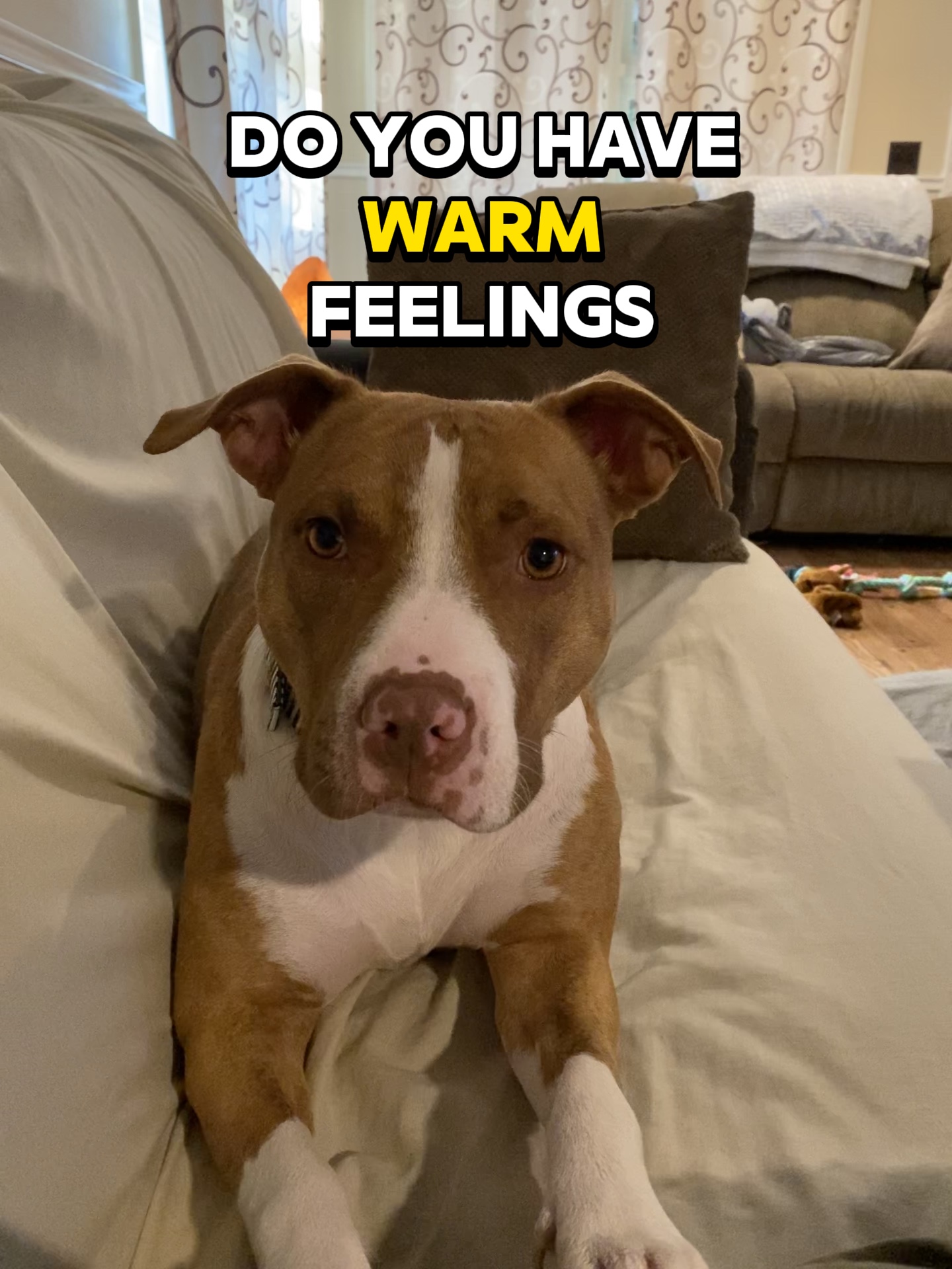 Warm Feelings 