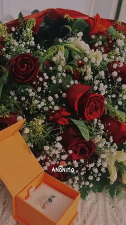 Romântico anônimo ❤️‍🔥