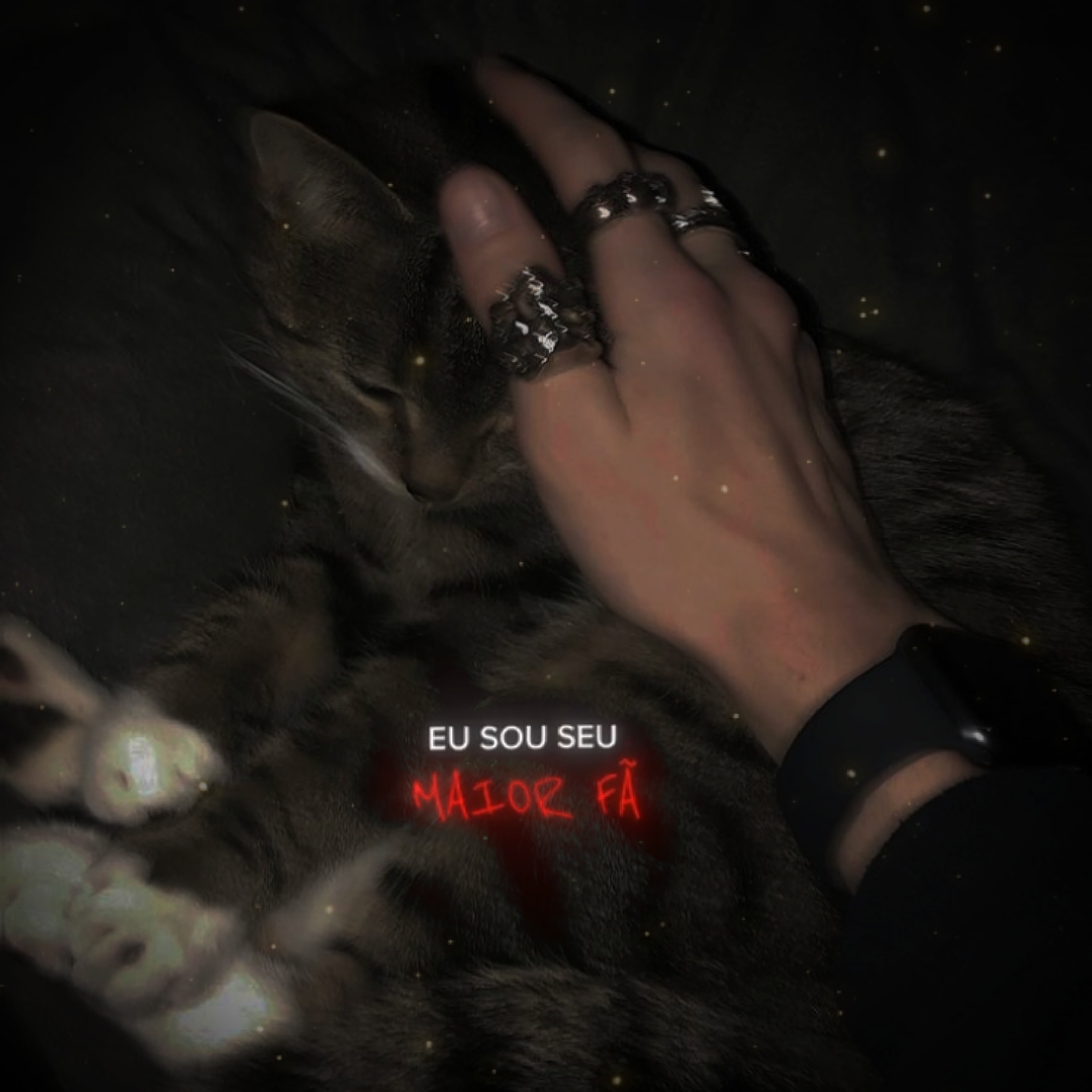 your paparazzi !