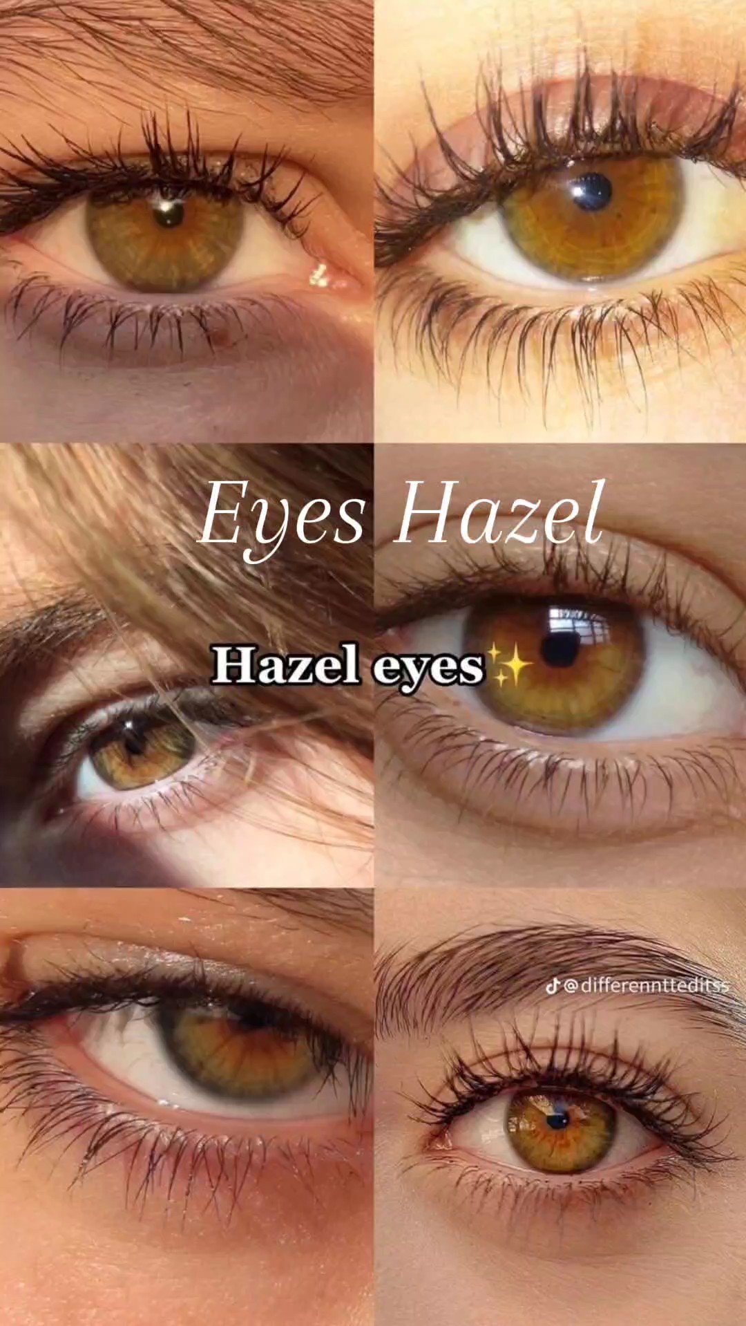 Yeux noisette