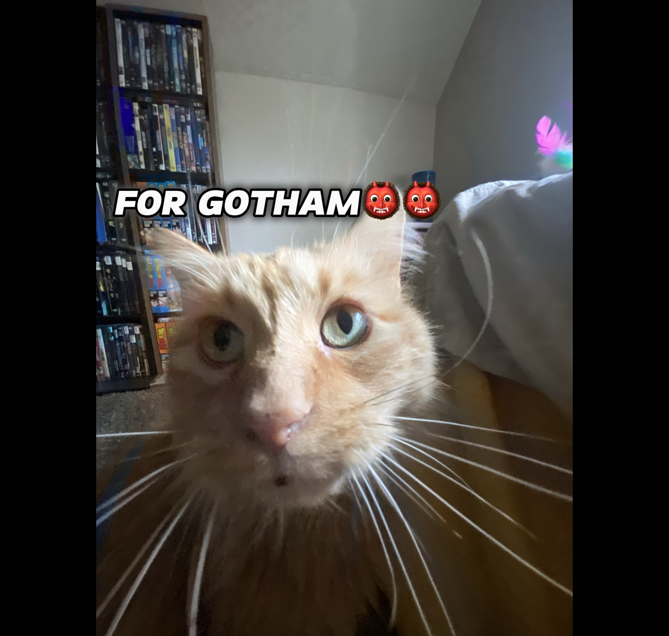FOR GOTHAM🦇🌃