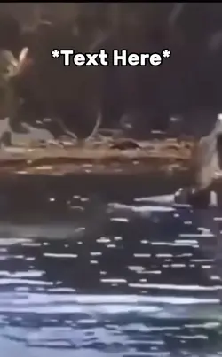 Water dance meme 