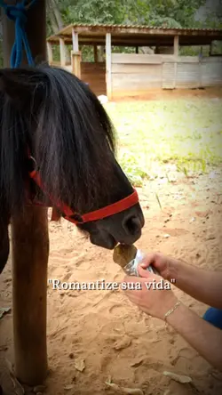 "Romantize sua vida"