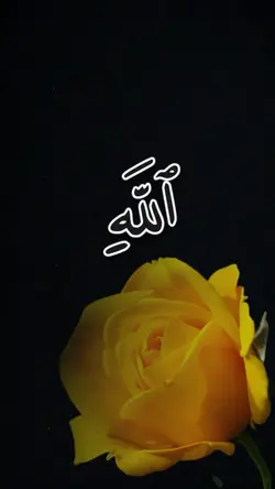 1-15 Allah’s names